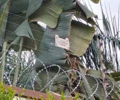 50 by 100 Electric Fence Installation in Katani